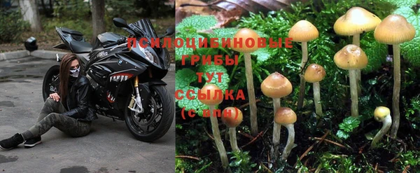 марихуана Алзамай