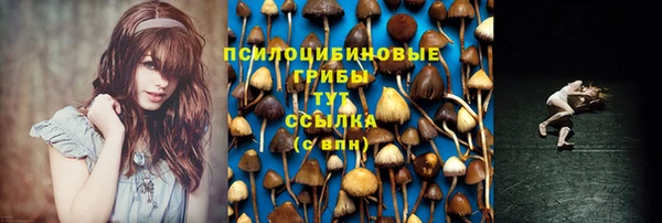 а пвп мука Алексеевка